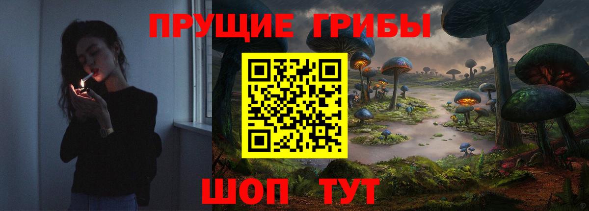 Курск  Галлюциногенные грибы MAGIC MUSHROOMS  Вход с VPN 